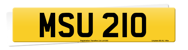Registration number MSU 210